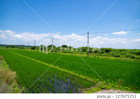 田園風景 127675251