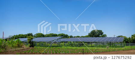 ソーラーパネルによる太陽光発電 ソーラーパネルによる太陽光発電 127675292