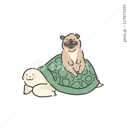パグと亀 127675485
