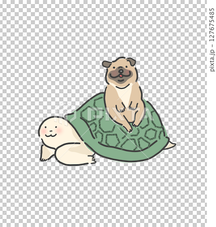 パグと亀 127675485