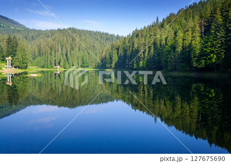 scenic landscape with lake among coniferous forest. green environment in the heart of synevyr national park. peaceful sunny morning in summer with blue sky 127675690