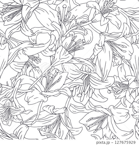 Black and white line art vintage seamless pattern with hand drawn lily flowers 127675929