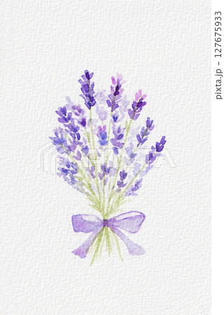 ラベンダーの花束のイラスト素材 [127675933] - PIXTA