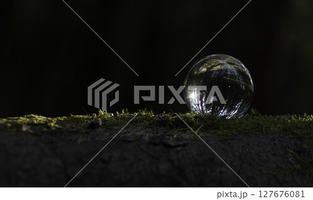 Glass sphere on mossy forest floor reflecting nature. Dark moody background with soft light, organic 127676081