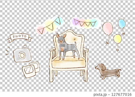 狗狗照片拍攝 127677016