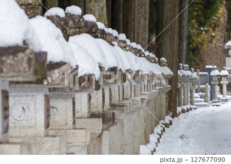 雪が積もる石灯籠の並ぶ冬の参道 雪が積もる石灯籠の並ぶ冬の参道 127677090