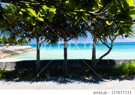 海の見える道 海の見える道 127677131