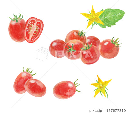 水彩絵の具で描いたミニトマトセット 水彩絵の具で描いたミニトマトセット 127677210