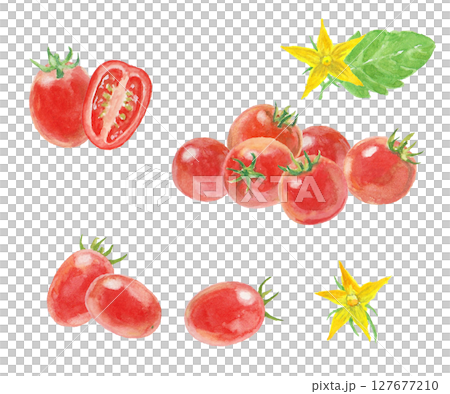 Watercolor painted cherry tomato set 127677210