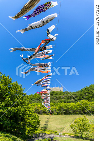 《若宮公園》青空に泳ぐ鯉のぼり（神奈川県厚木市） 127677222