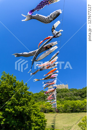 《若宮公園》青空に泳ぐ鯉のぼり（神奈川県厚木市） 127677227