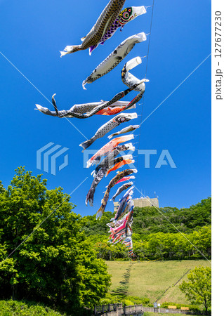 《若宮公園》青空に泳ぐ鯉のぼり（神奈川県厚木市） 127677230