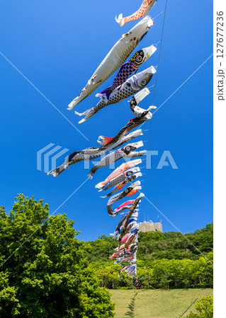 《若宮公園》青空に泳ぐ鯉のぼり(神奈川県厚木市) 《若宮公園》青空に泳ぐ鯉のぼり(神奈川県厚木市) 127677236