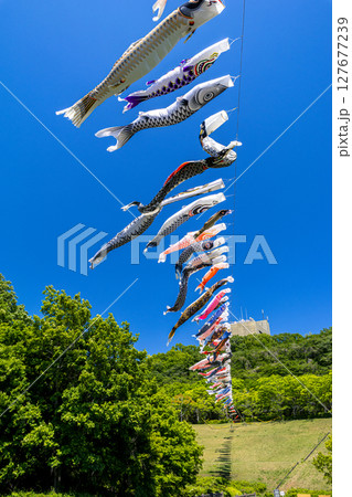 《若宮公園》青空に泳ぐ鯉のぼり(神奈川県厚木市) 《若宮公園》青空に泳ぐ鯉のぼり(神奈川県厚木市) 127677239