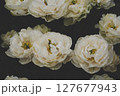 White flowers. 127677943