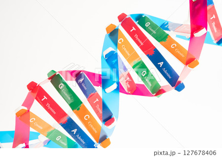 DNA or Deoxyribonucleic acid is a double helix chains structure formed by base pairs attached to a sugar phosphate backbone. 127678406