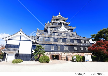 【岡山県】紅葉した岡山城の天守閣（令和の大改修後） 127678885