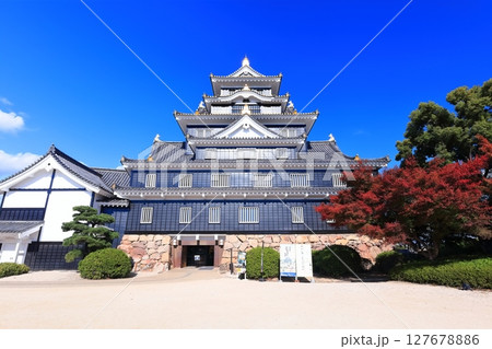 【岡山県】紅葉した岡山城の天守閣(令和の大改修後) 【岡山県】紅葉した岡山城の天守閣(令和の大改修後) 127678886