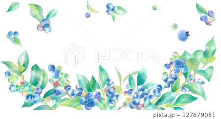 ブルーベリーの水彩イラスト。フレームデザイン。 127679081