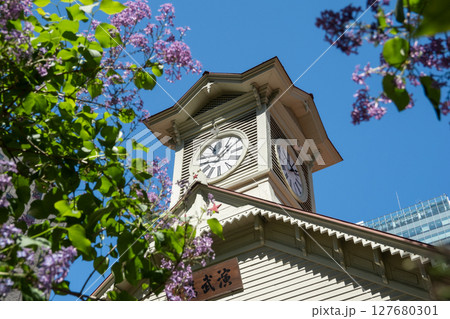 時計台とライラック 北海道札幌市 時計台とライラック 北海道札幌市 127680301