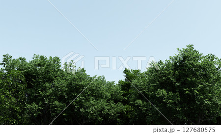 Treetops on blue sky background, space for text, 3d illustration 127680575