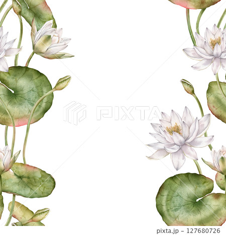Square frame with watercolor white water lilies and green leaves. Hand-drawn illustration on white background. For floral borders, cards, or elegant design projects with delicate aquatic flowers. 127680726