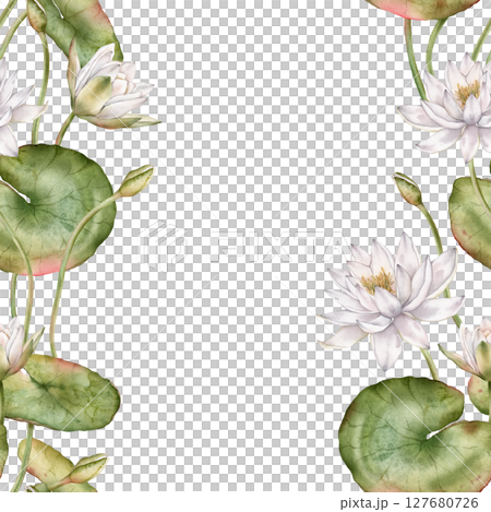 Square frame with watercolor white water lilies and green leaves. Hand-drawn illustration on white background. For floral borders, cards, or elegant design projects with delicate aquatic flowers. 127680726