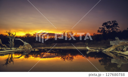 Waterhole scenery at sunset in Greater Kruger National park, South Africa 127680788