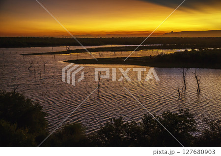 Mopani lake in Kruger National park, South Africa 127680903