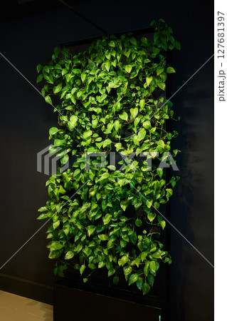 A Modern Office Setting Featuring an Indoor Plant and Stylish Contemporary Lighting Designs 127681397