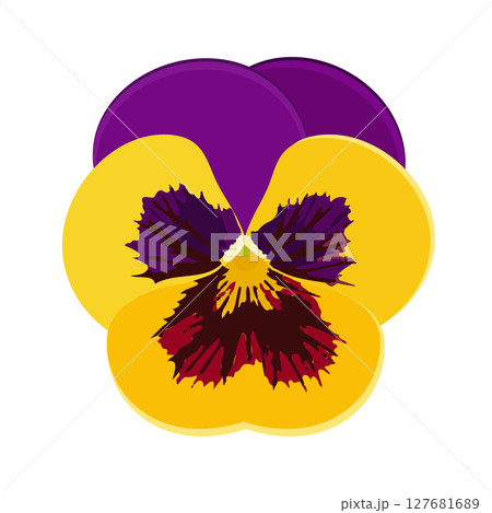 Violet Yellow Pansies Vector, Tricolor Viola Symbol, Minimal Viola Flower, Heartsease Flowers Violet Yellow Pansies Vector, Tricolor Viola Symbol, Minimal Viola Flower, Heartsease Flowers 127681689