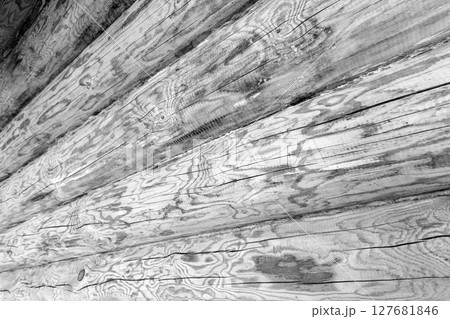 Rustic white wooden logs with distinct patterns and textures, Rustic white wooden logs with distinct patterns and textures, 127681846