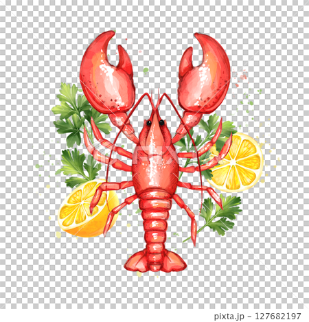 Red Lobster illustration with lemon and parsley. Seafood product, restaurant menu. Hand drawn painting, isolated on white background Red Lobster illustration with lemon and parsley. Seafood product, restaurant menu. Hand drawn painting, isolated on white background 127682197