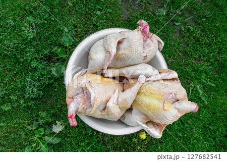 Chickens carcasses in metal bowl Chickens carcasses in metal bowl 127682541