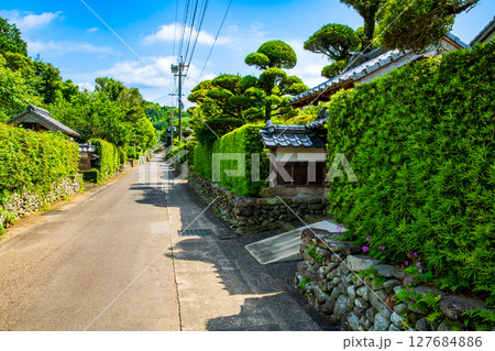 鹿児島県 出水市 麓の町並み 鹿児島県 出水市 麓の町並み 127684886