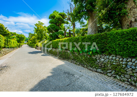 鹿児島県 出水市 麓の町並み 鹿児島県 出水市 麓の町並み 127684972