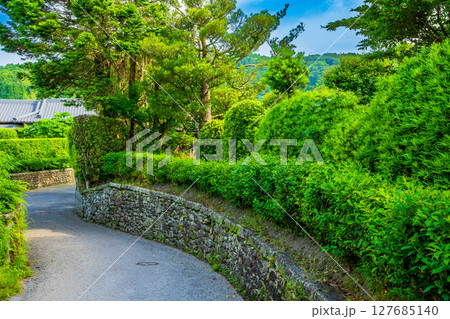 鹿児島県 知覧麓の町並み 鹿児島県 知覧麓の町並み 127685140