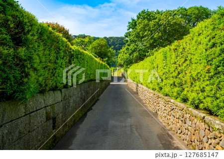 鹿児島県　知覧麓の町並み 127685147