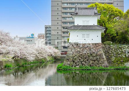 大分府内城址と満開の桜 127685473
