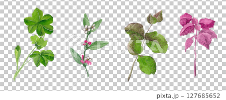 Set of field and garden plants. Flower border. Watercolor illustration. The set is ideal for posters, fabric design, wallpaper, tableware and other products 127685652