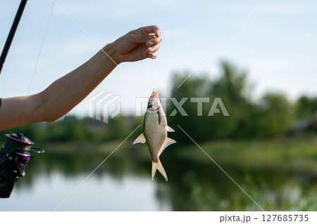 Male hand holding caught bream fish on a hook. River fishing. Sunny day outdoor on water natural background 127685735