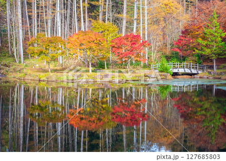 《せせらぎ街道・西ウレ峠》紅葉のリフレクション（岐阜県高山市清見町） 127685803
