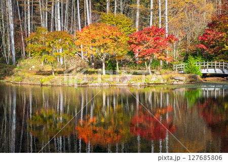 《せせらぎ街道・西ウレ峠》紅葉のリフレクション（岐阜県高山市清見町） 127685806