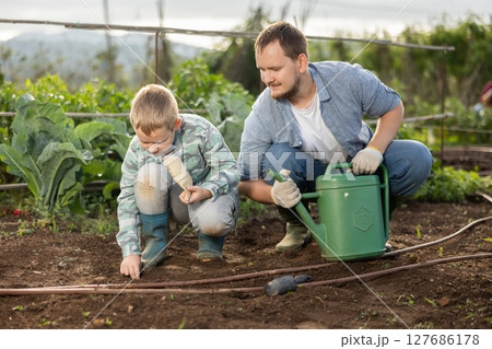 Young man with boy planting seeds in field 127686178
