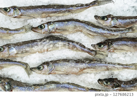 Background of dry small European smelt fishes on sea salt Background of dry small European smelt fishes on sea salt 127686213