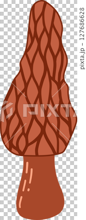 Hand Drawn Brown Morel Mushroom hand drawn illustration isolated on white background. Autumn forest harvest. Fall season flora 127686628