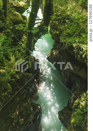Turquoise River Flowing Through Lush Green Canyon Turquoise River Flowing Through Lush Green Canyon 127690188