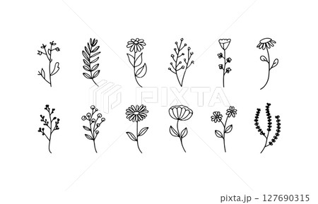 Silhouette Flower Cluster. Cluster of black silhouette flowers with flowing stems and varied shapes. 127690315