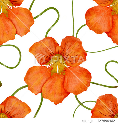 Watercolor seamless pattern of Orange Nasturtium flowers captures natures artistic essence 127690482