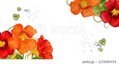 Nasturtium Flowers Depicted in an Elegant Watercolor rectangular frame 127690534